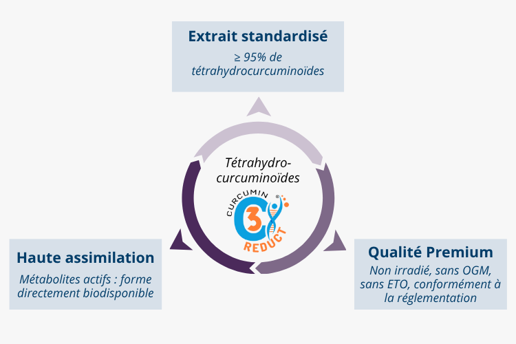 Tétrahydrocurcuminoïdes (C3 Reduct®) : l’actif métabolite à biodisponibilité optimisée